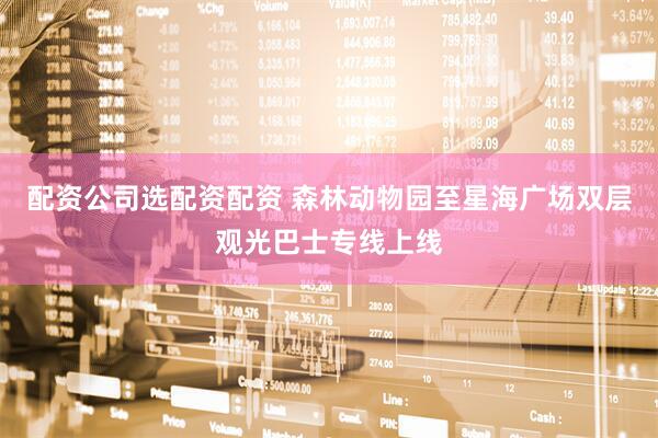 配资公司选配资配资 森林动物园至星海广场双层观光巴士专线上线