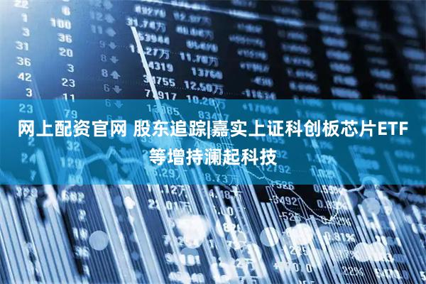 网上配资官网 股东追踪|嘉实上证科创板芯片ETF等增持澜起科技