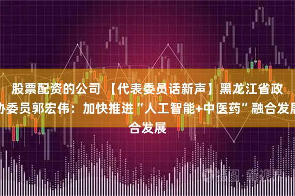 股票配资的公司 【代表委员话新声】黑龙江省政协委员郭宏伟：加快推进“人工智能+中医药”融合发展