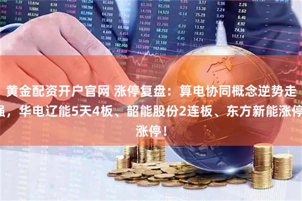 黄金配资开户官网 涨停复盘：算电协同概念逆势走强，华电辽能5天4板、韶能股份2连板、东方新能涨停！
